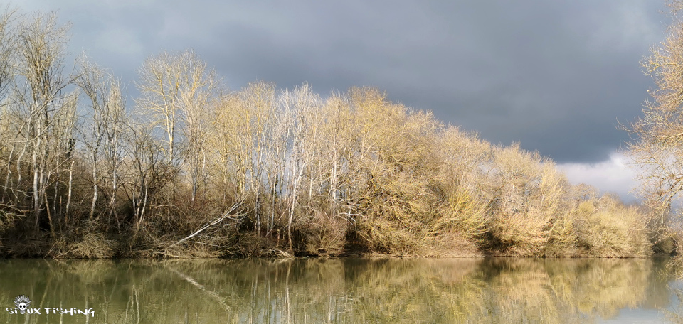 La Seille en hiver